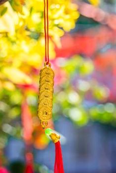 phỏm di động Nohu